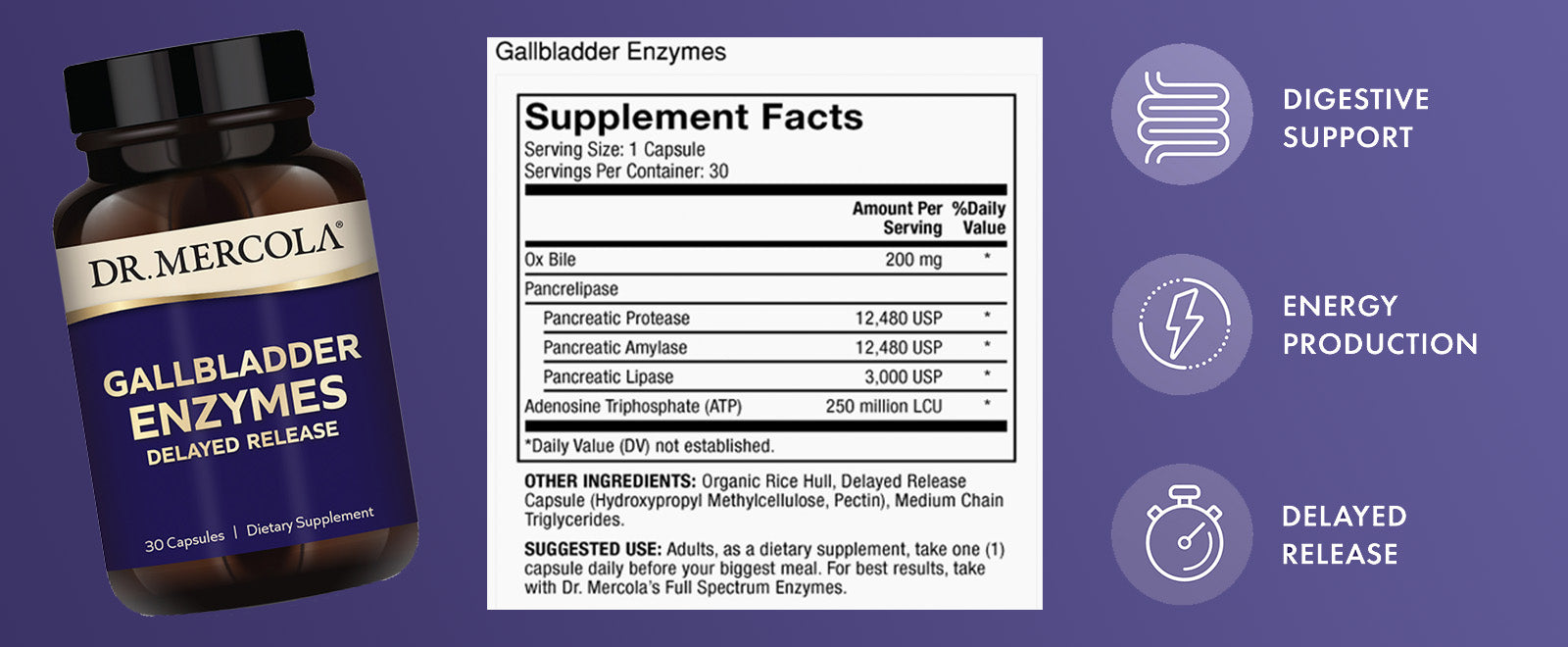 Gallbladder Enzymes - Shop at BiosenseClinic.com - Digest Fat with Ease: Gallbladder Enzymes, Your Solution to Comfort and Health!