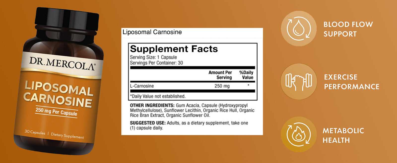Liposomal Carnosine - Shop at BiosenseClinic.com - Revitalize Your Cells, Rejuvenate Your Life with Liposomal Carnosine!