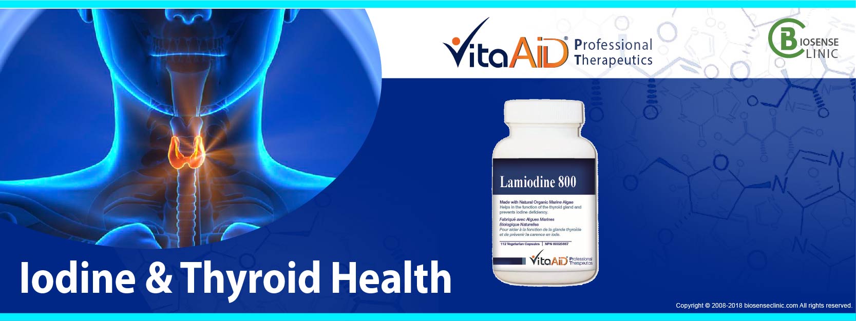 VitaAid category banner Iodine & Thyroid Health