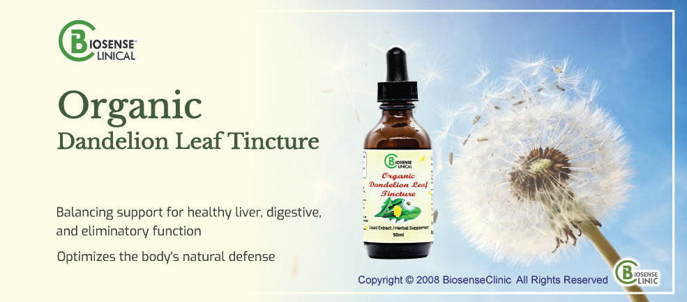 Organic Dandelion Leaf Tincture banner