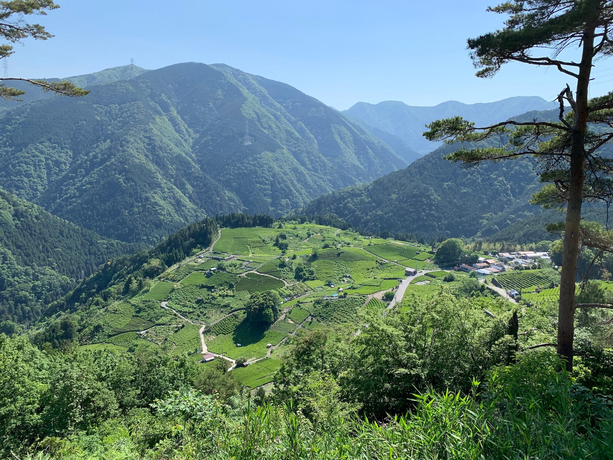 le terroir de Kasuga