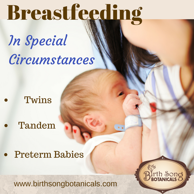 Breastfeeding In Special Circumstances Birth Song Botanicals Co 7989