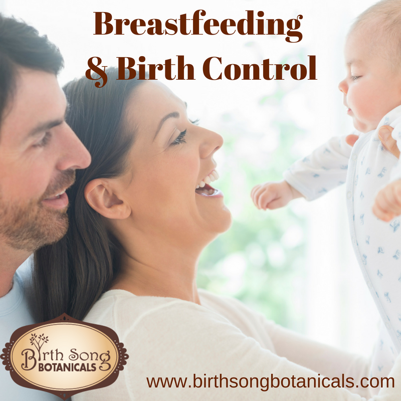 Breastfeeding And Birth Control Birth Song Botanicals Co 2687