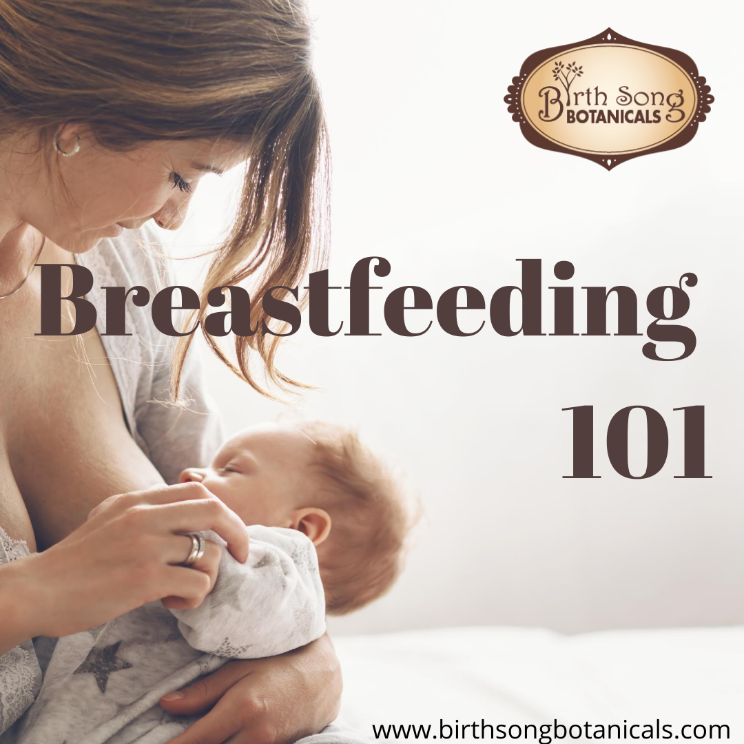 Breastfeeding 101 Best Breastfeeding Practices Birth Song Botanicals Co 2806