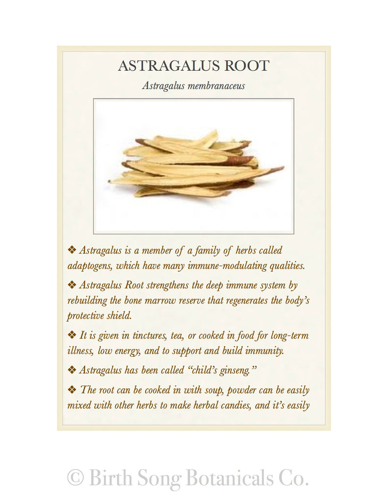 Astragalus Root