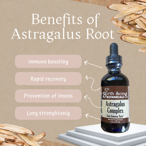 Astragalus Root Benefits