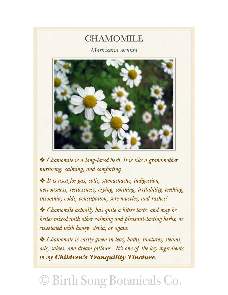 Chamomile