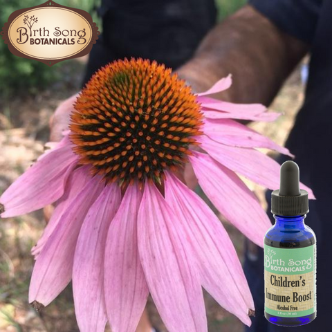 Children's immune boost with echinacea