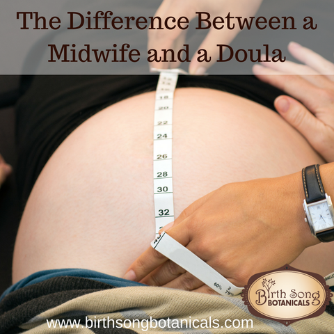 difference between a midwife and a doula