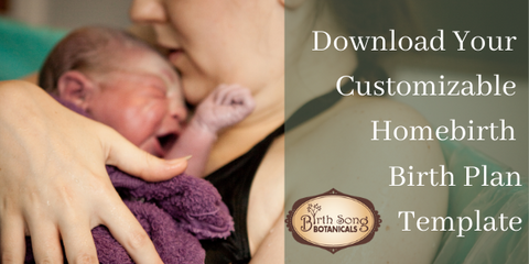 Homebirth birth plan template