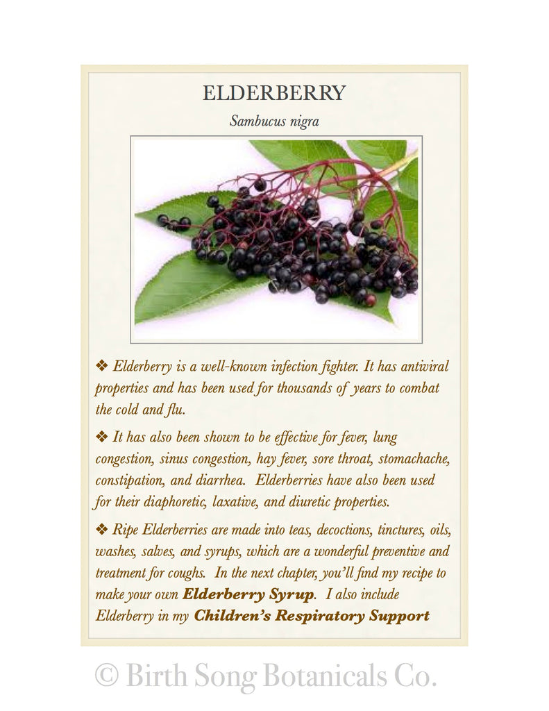 Elderberry