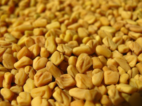 Fenugreek Seed