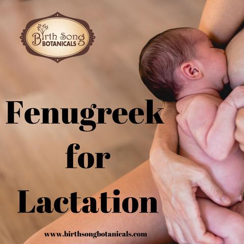 Fenugreek for lactation