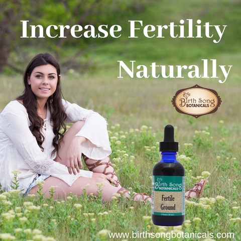 increase fertility Naturally