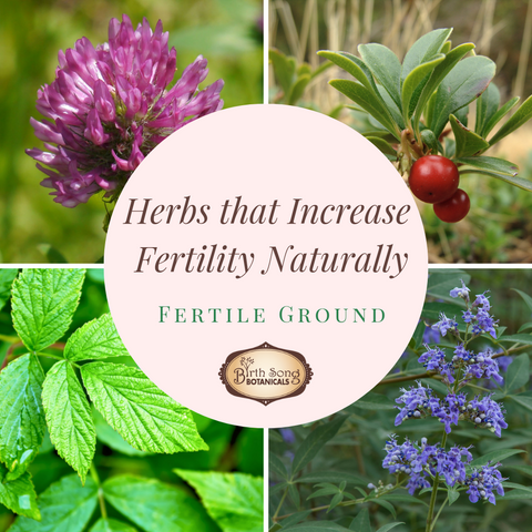 Increase fertility naturally