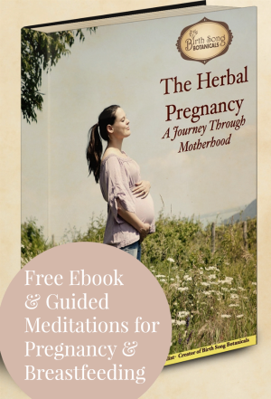 ebook for home birth