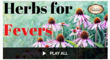 Herbs for fevers