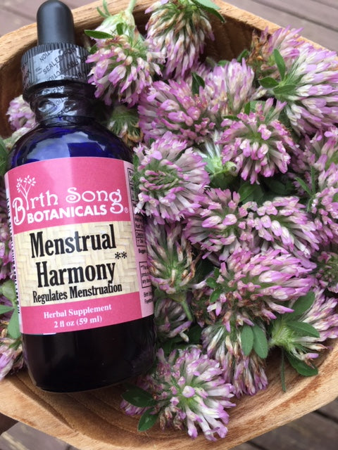 red clover herbal tincture for menstruation