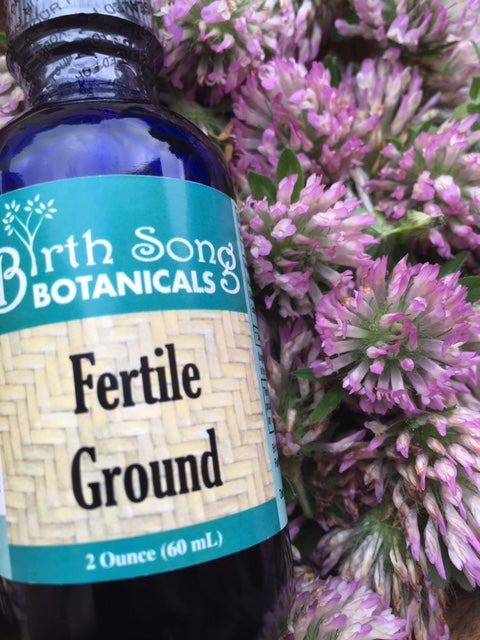 Red Clover fertility tincture for fertility support