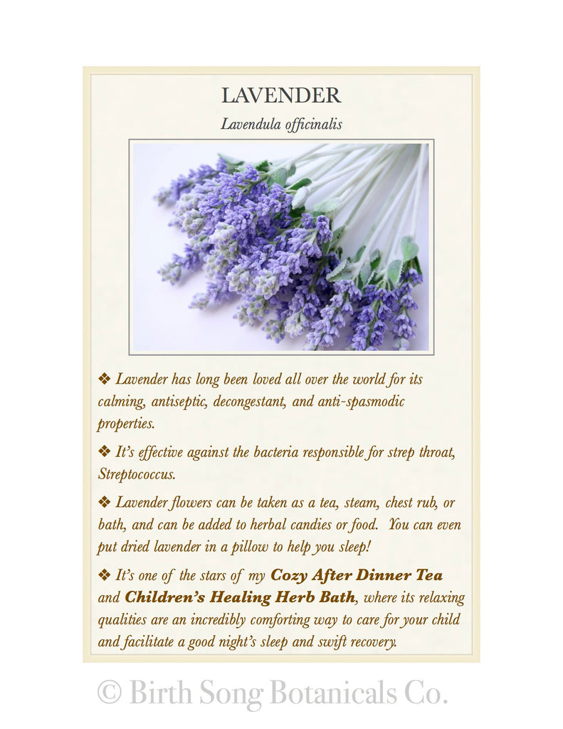 Lavender