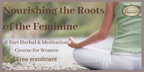 Free Herbal & Meditation Lessons To Nourish Your Feminine Roots