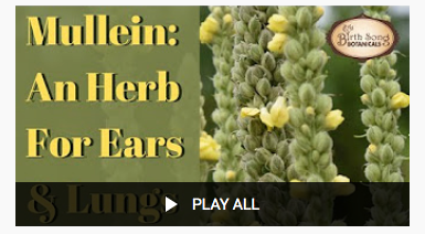 https://www.youtube.com/c/BirthSongBotanicals/search?query=congestion