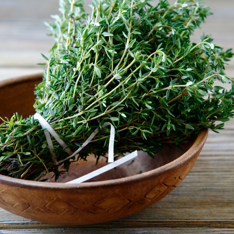 Thyme