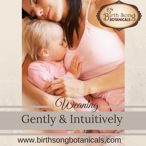 Gently weaning and stop breastfeeding