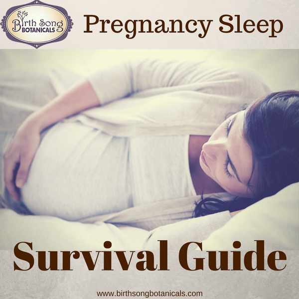 Pregnancy Sleep Guide