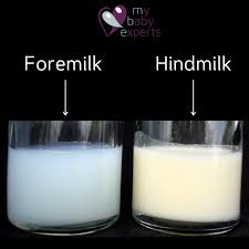 foremilk vs hindmilk