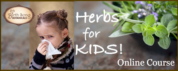 Herbs For Kids Online Course