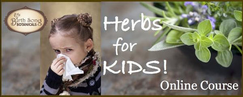 Herbs for kids ebook and online course for the cold and flu season