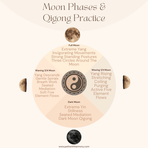 Menstrual Cycle