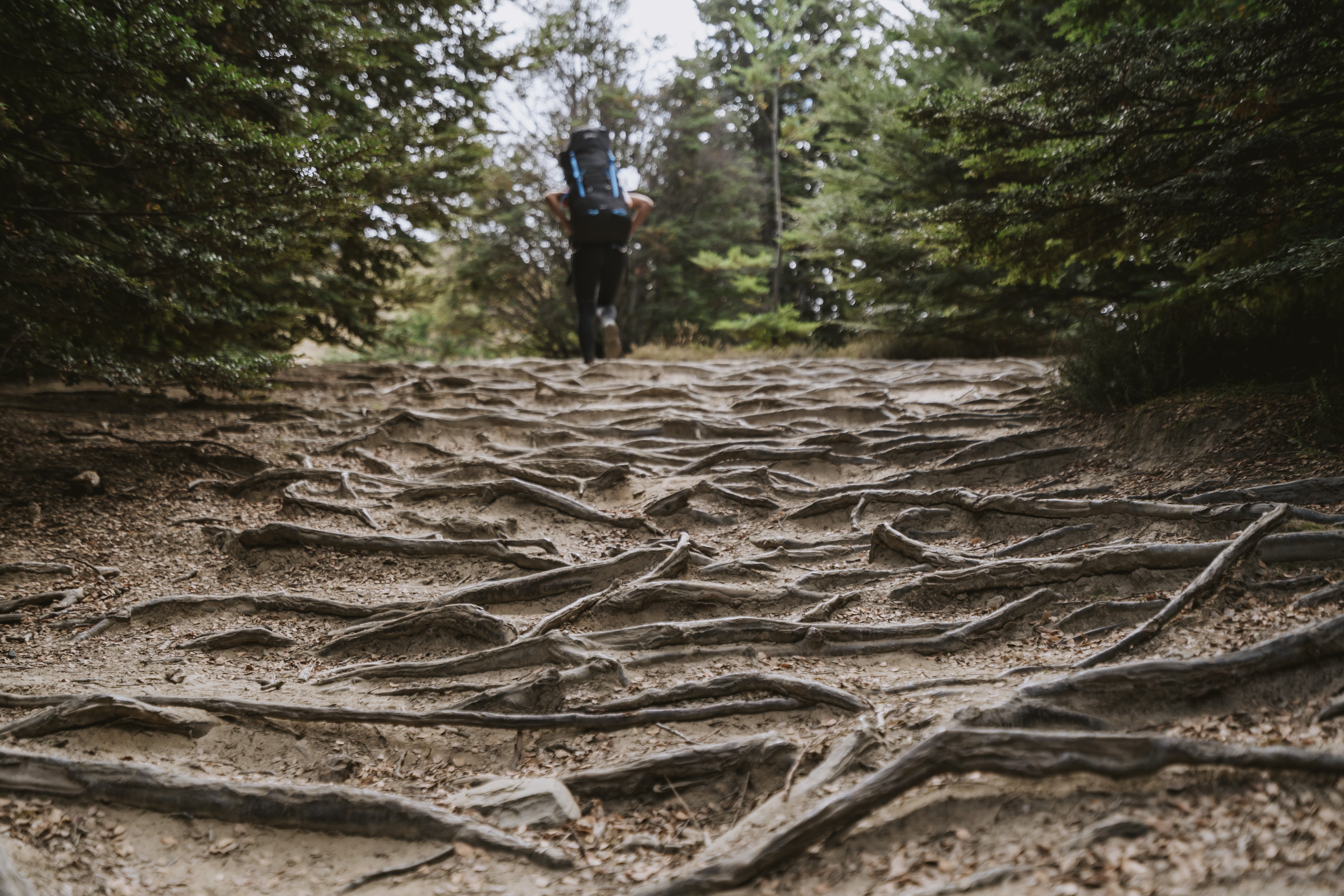 Climbing Big Hill in Arrowtown