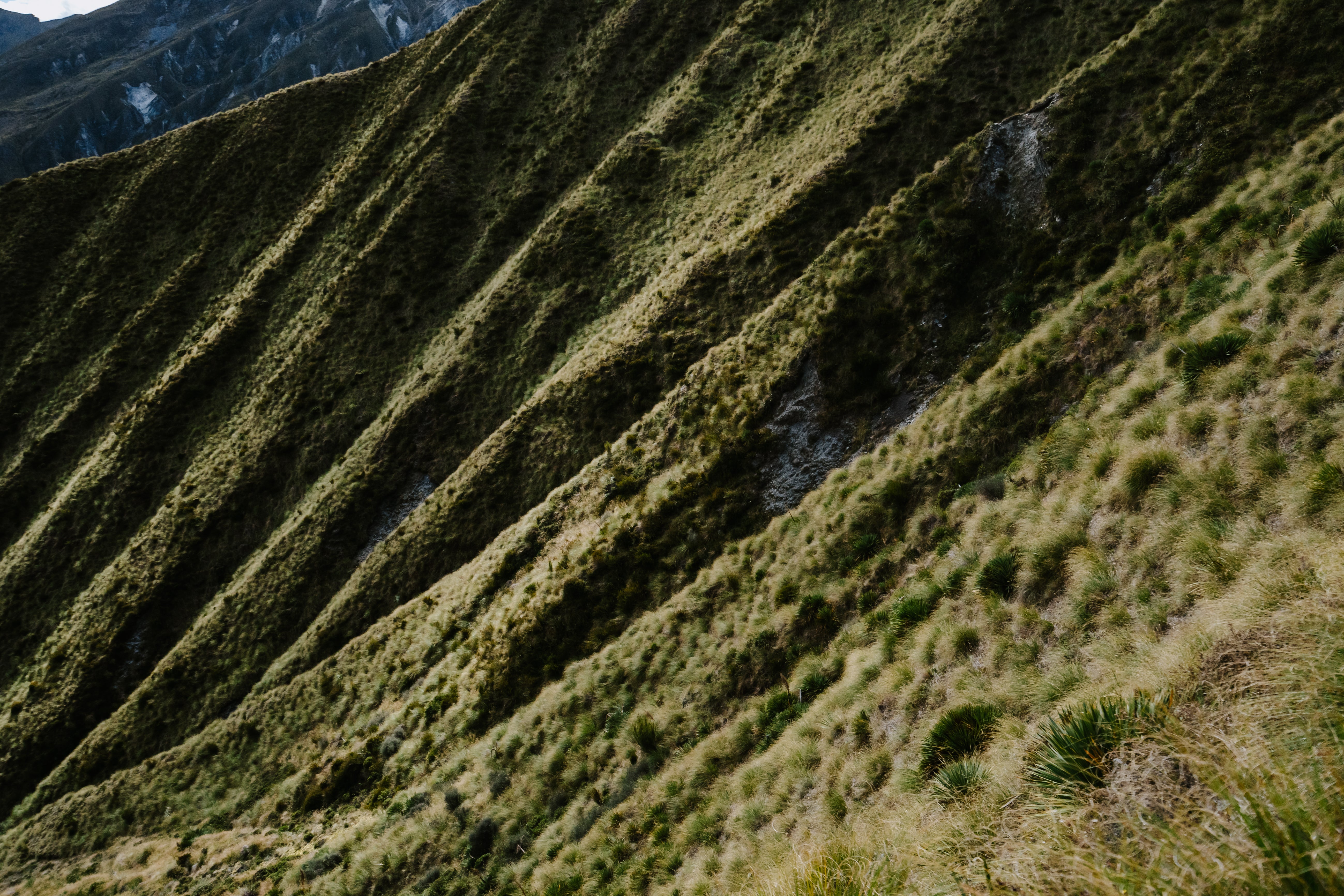 Ridge-lines leading up Roses Saddle