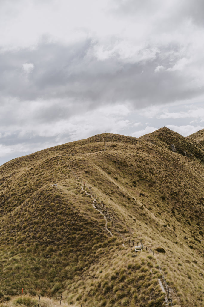 Motatapu Alpine Track