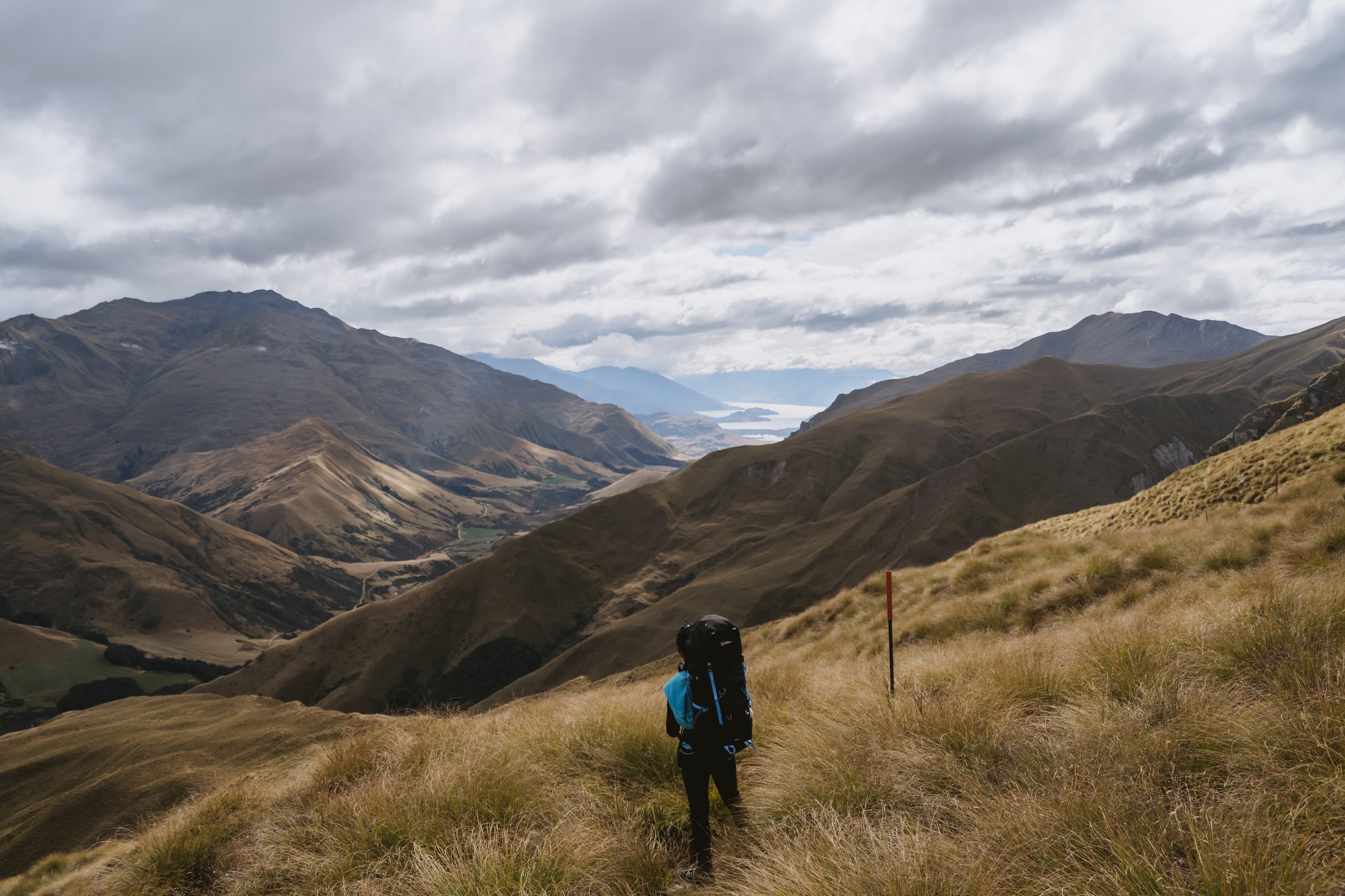 Motatapu Alpine Track