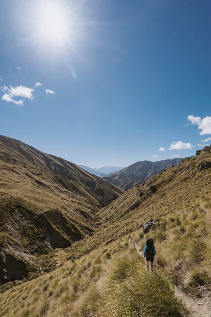 Motatapu Alpine Track