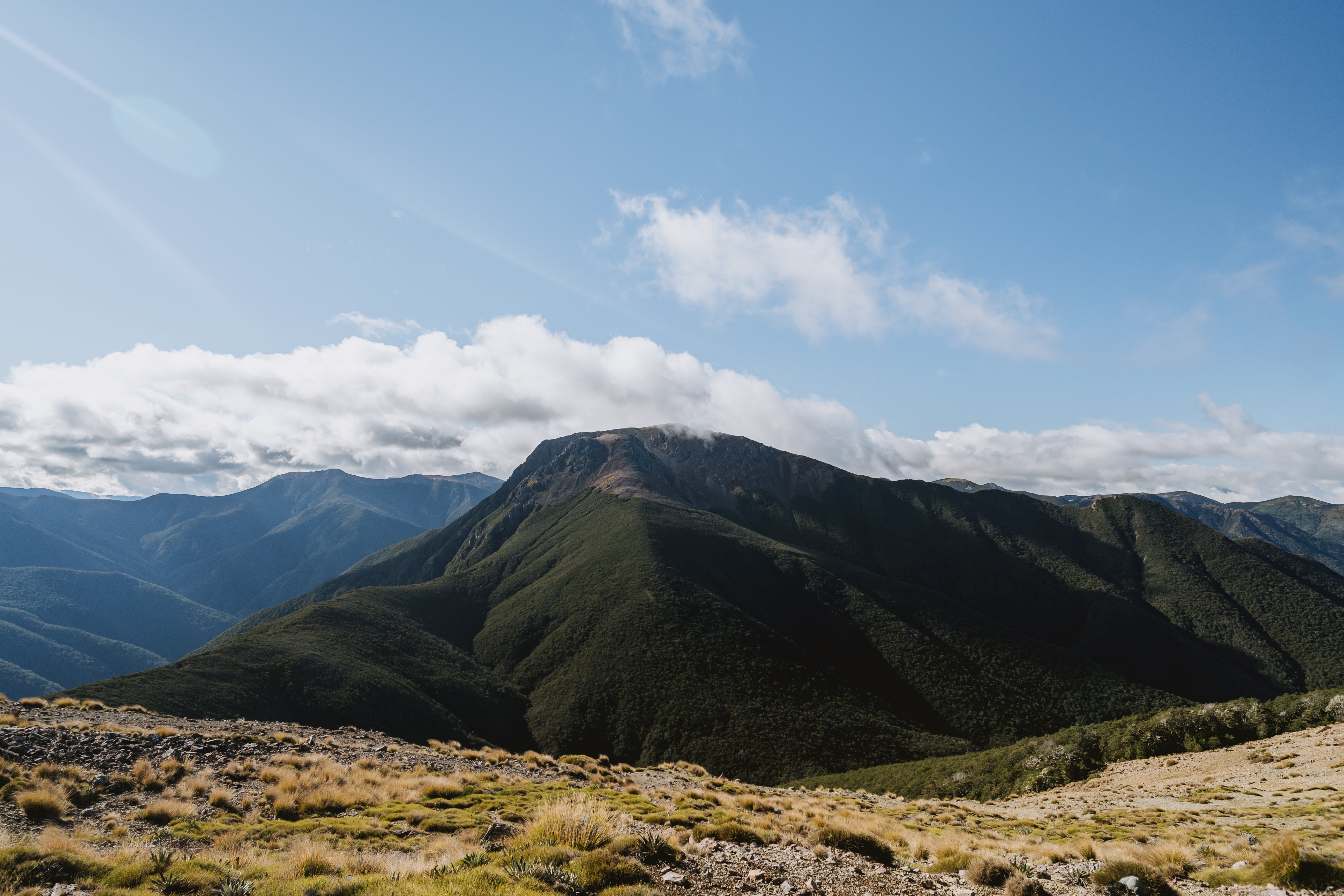 Mt Rintoul from Purple Top