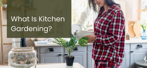 Kitchen Gardening Ideas