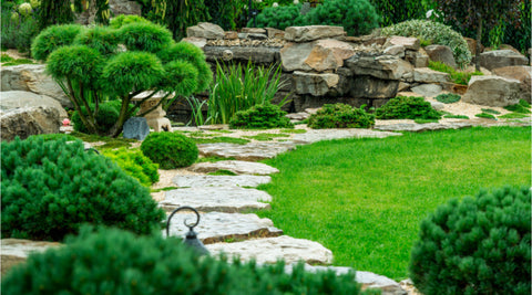 Landscaping  Services