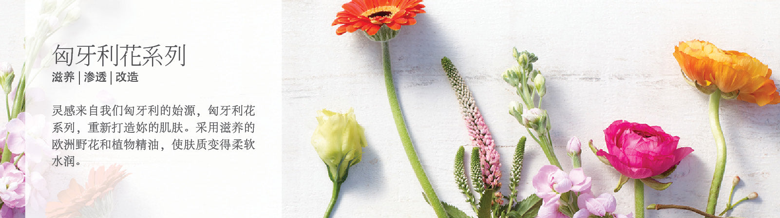Wildflower Collection