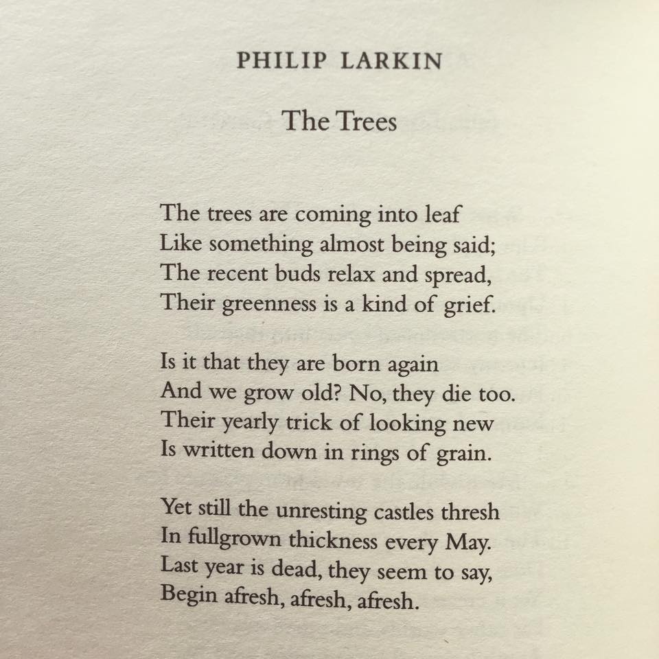 Philip Larkin poem comparison