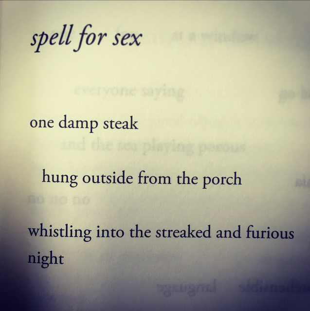 Poem Of The Day Rebecca TamÁs The Poetry Book Society