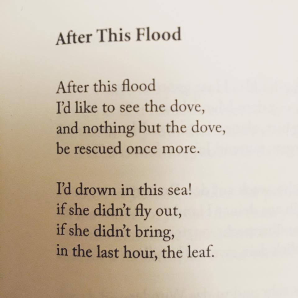 after the flood poem