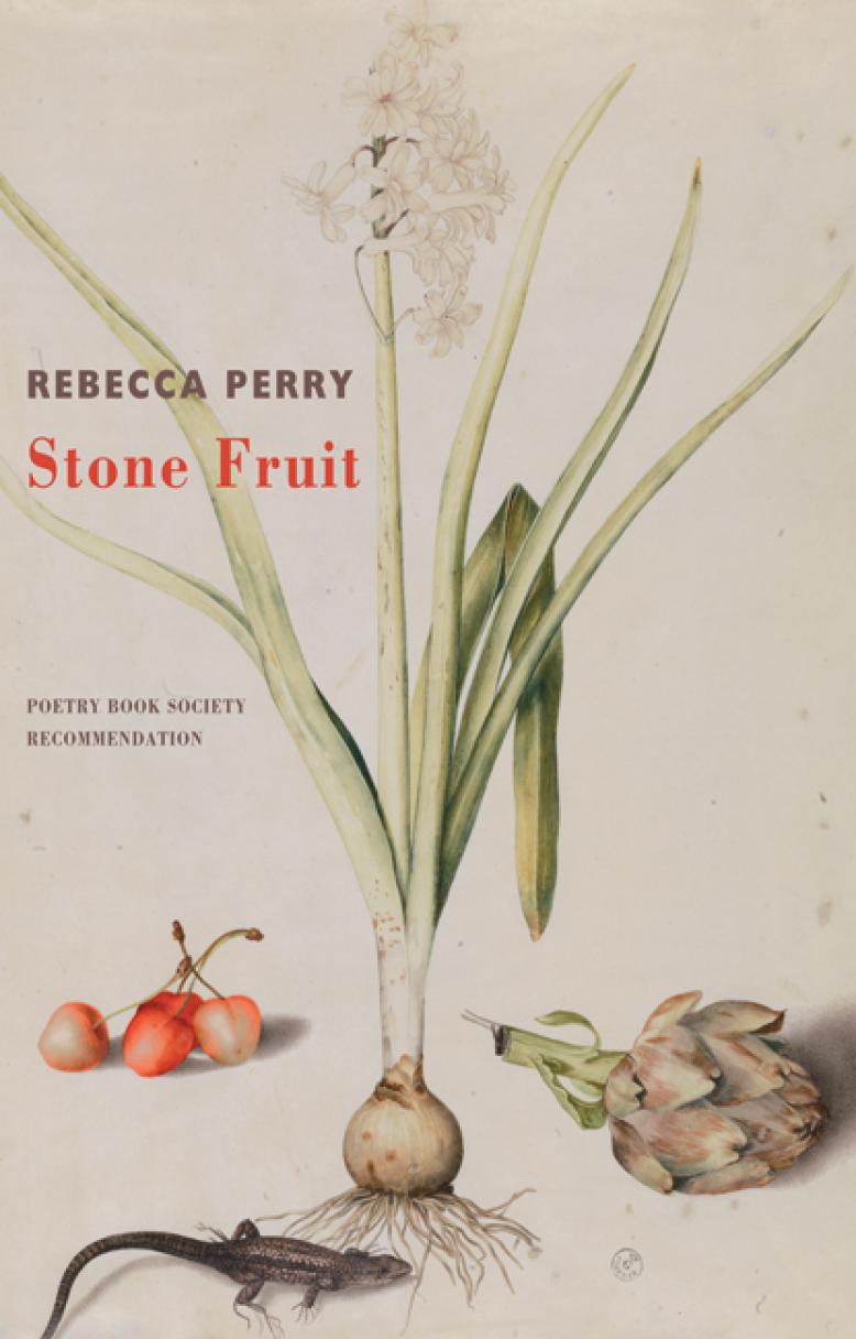 Stone Fruit by Rebecca Perry PRE-ORDER PBS Recommendation ...