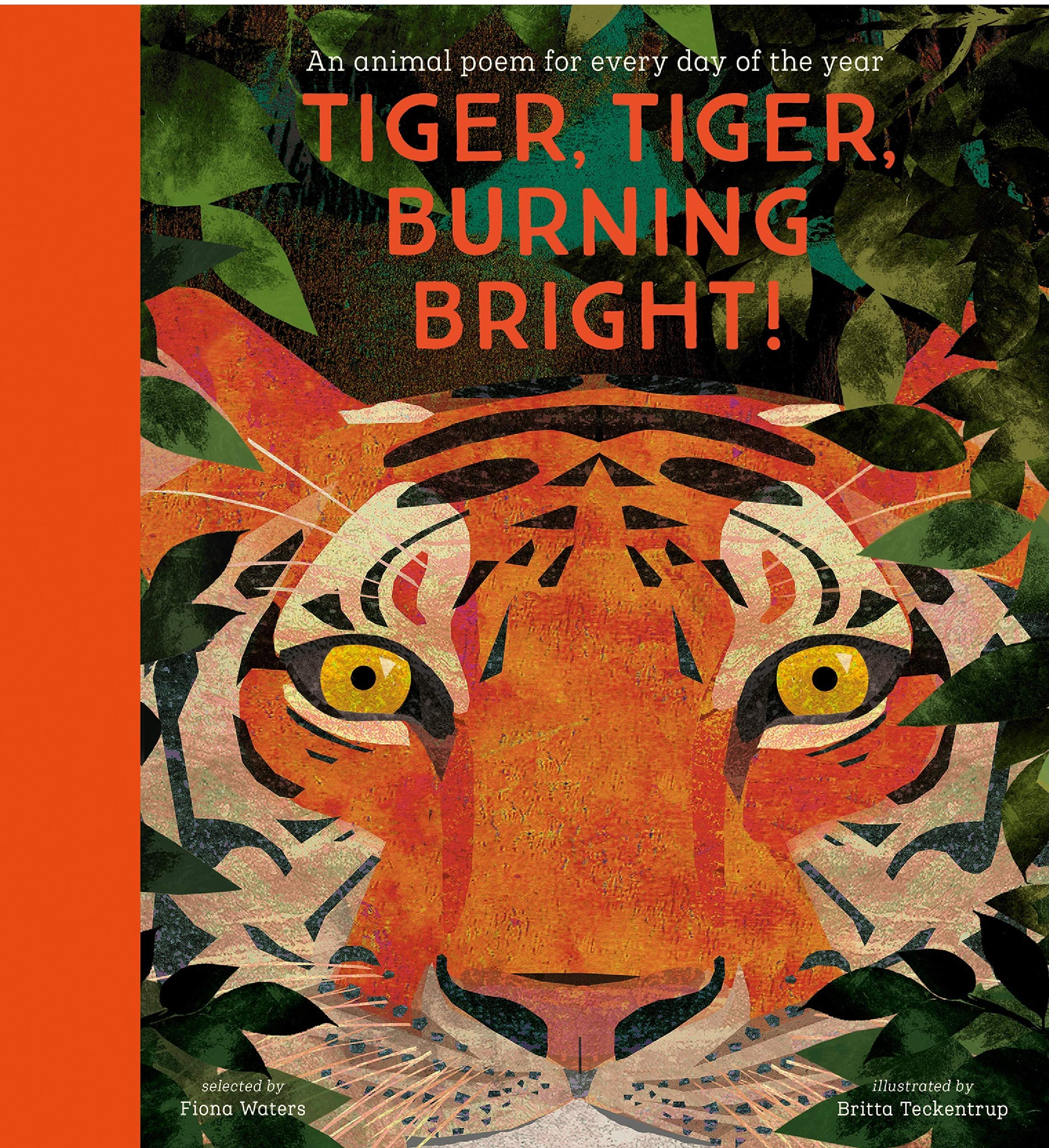 Tiger Tiger Burning Bright An Animal Poem For Every Day Of The Year