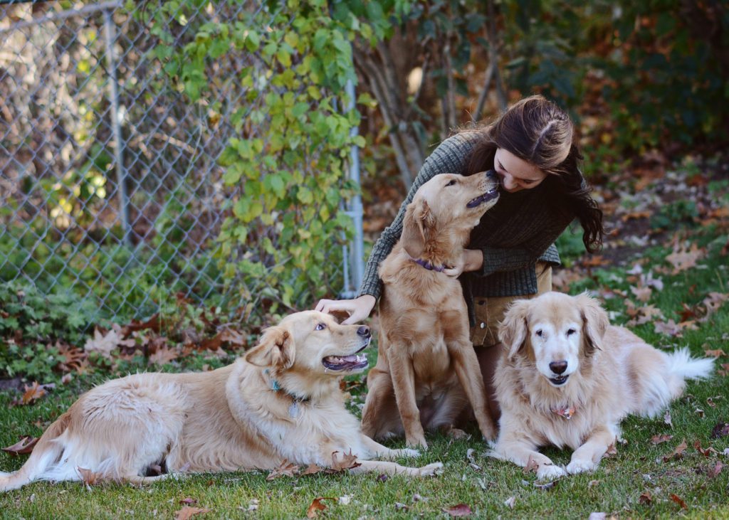 isabel-and-her-dog-pack