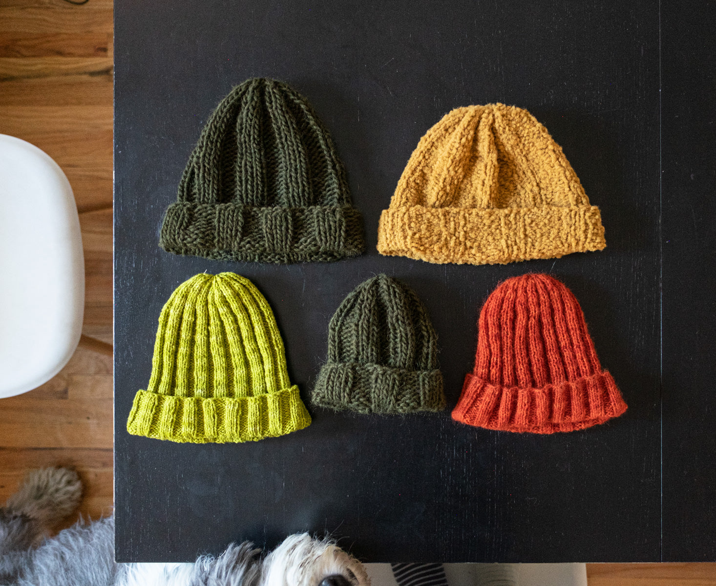 A series of rib-knit beanies with folded brims are laid out on a black table top. They are made in a variety of sizes and textures but share the same pleasingly simple construction. They seem to be laid out like eager pupils before a teacher as the nose of a sheepdog appears to lean in to inspect them.