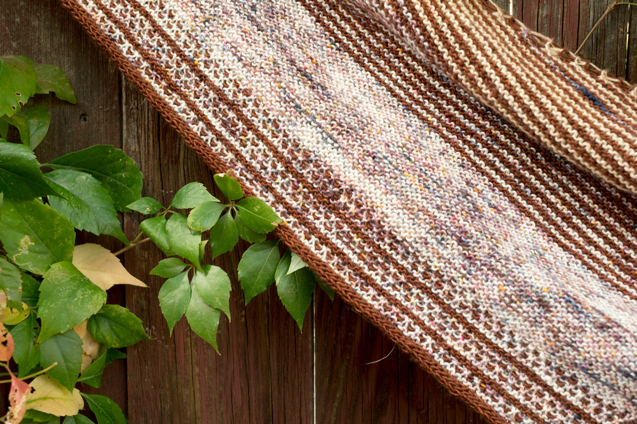 Detail of the Drachenfels Shawl